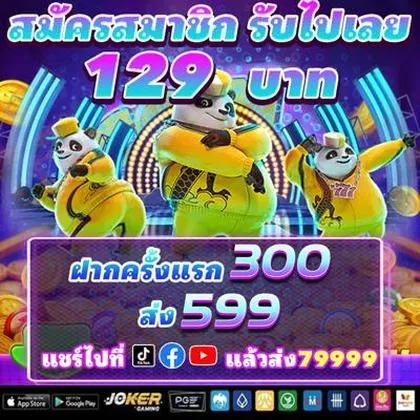 SS33 SS33